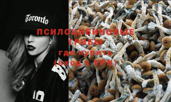 хмурый Богородицк