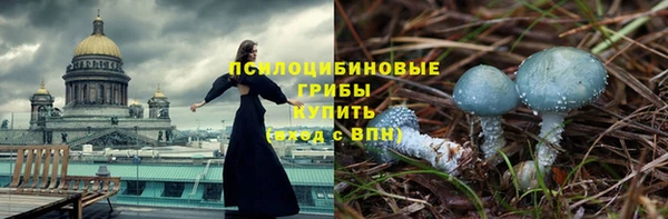 хмурый Богородицк