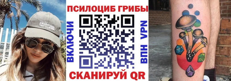 Псилоцибиновые грибы MAGIC MUSHROOMS  продажа наркотиков  Тюмень 